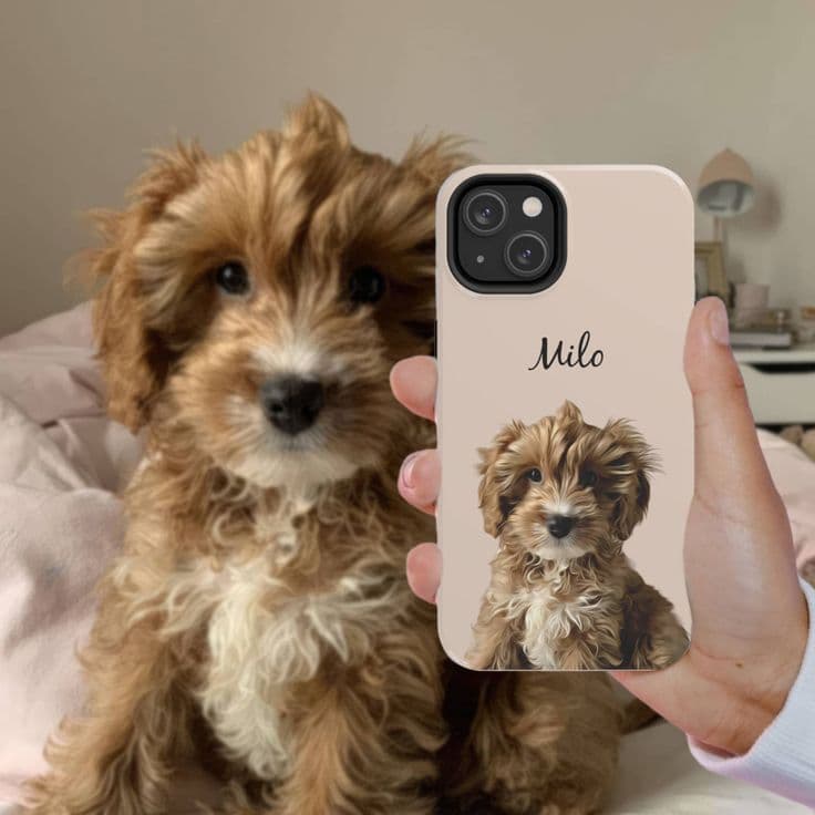 Cats/Dogs